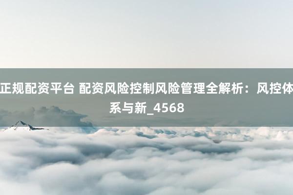 正规配资平台 配资风险控制风险管理全解析：风控体系与新_4568