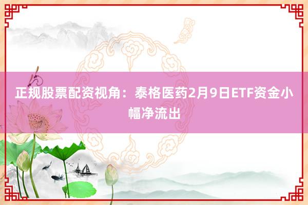 正规股票配资视角：泰格医药2月9日ETF资金小幅净流出