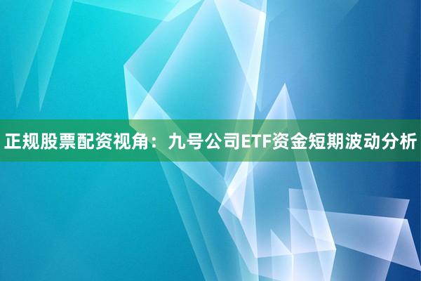 正规股票配资视角:九号公司ETF资金短期波动分析