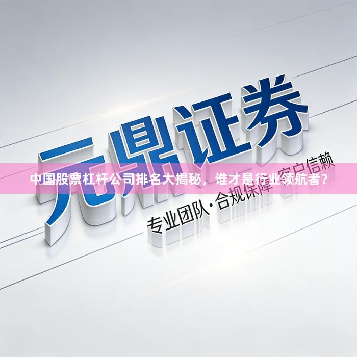 中国股票杠杆公司排名大揭秘，谁才是行业领航者？