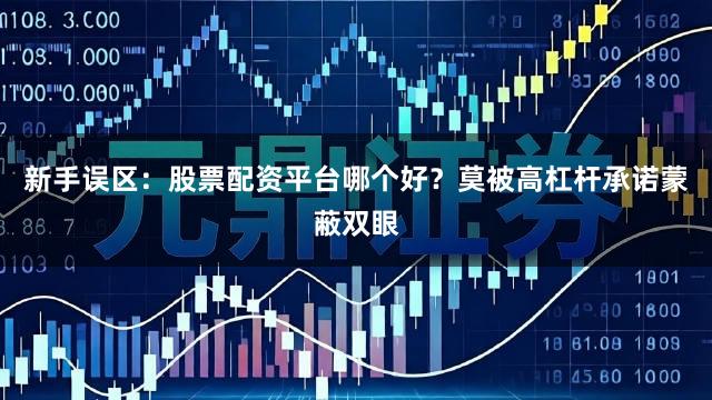 新手误区:股票配资平台哪个好?莫被高杠杆承诺蒙蔽双眼