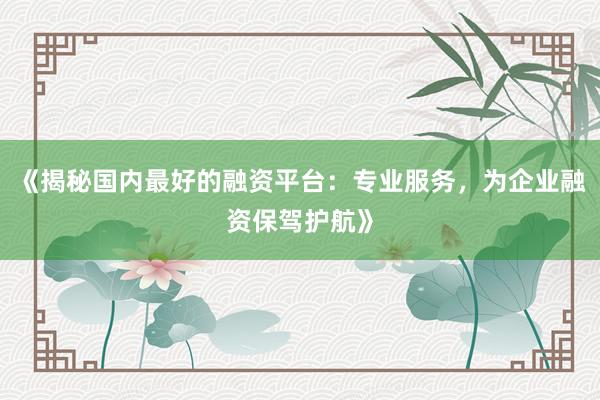 《揭秘国内最好的融资平台：专业服务，为企业融资保驾护航》