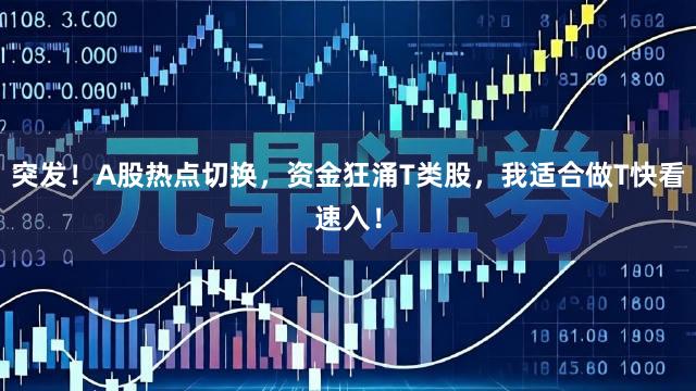 突发！A股热点切换，资金狂涌T类股，我适合做T快看速入！