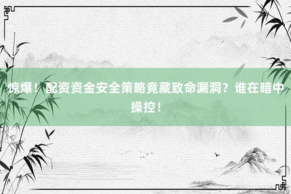 惊爆！配资资金安全策略竟藏致命漏洞？谁在暗中操控！