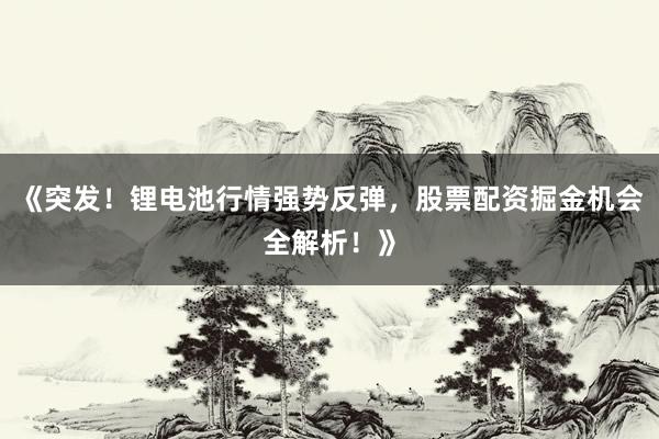 《突发！锂电池行情强势反弹，股票配资掘金机会全解析！》