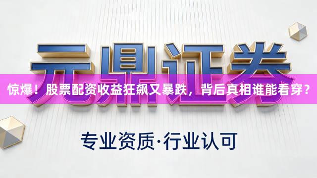 惊爆！股票配资收益狂飙又暴跌，背后真相谁能看穿？