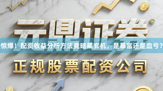 惊爆！配资收益分析方法竟暗藏玄机，是暴富还是血亏？