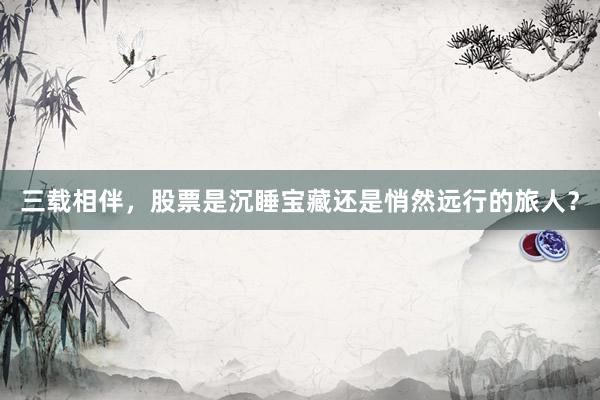 三载相伴，股票是沉睡宝藏还是悄然远行的旅人？