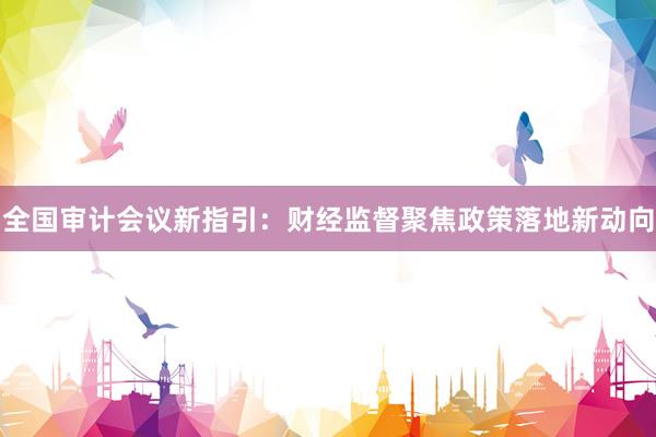 全国审计会议新指引：财经监督聚焦政策落地新动向