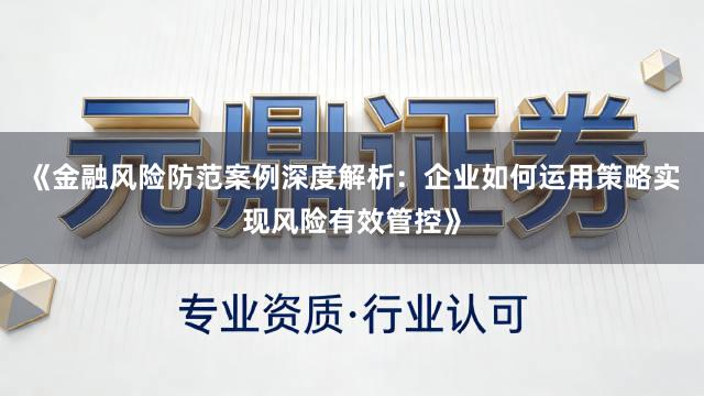 《金融风险防范案例深度解析：企业如何运用策略实现风险有效管控》