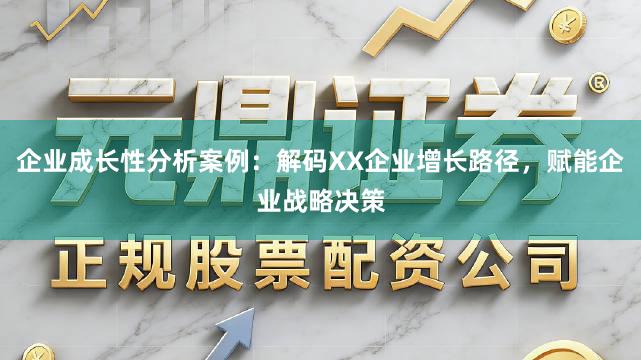 企业成长性分析案例：解码XX企业增长路径，赋能企业战略决策