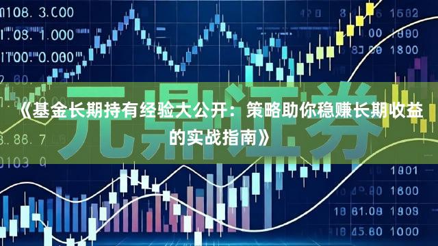 《基金长期持有经验大公开：策略助你稳赚长期收益的实战指南》
