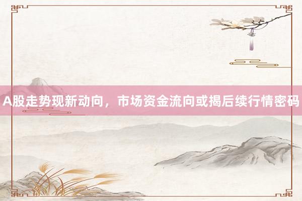 A股走势现新动向，市场资金流向或揭后续行情密码