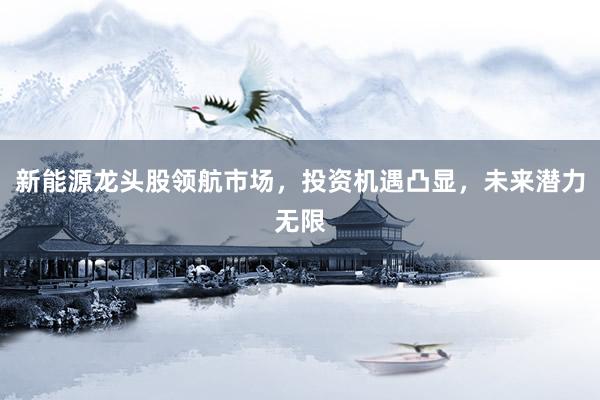 新能源龙头股领航市场，投资机遇凸显，未来潜力无限