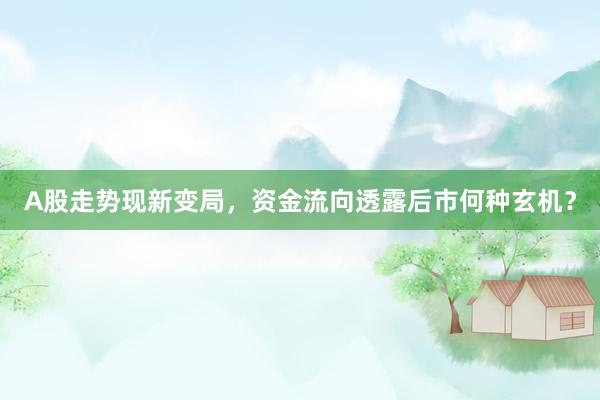 A股走势现新变局，资金流向透露后市何种玄机？