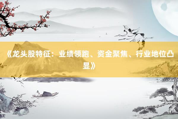 《龙头股特征：业绩领跑、资金聚焦、行业地位凸显》