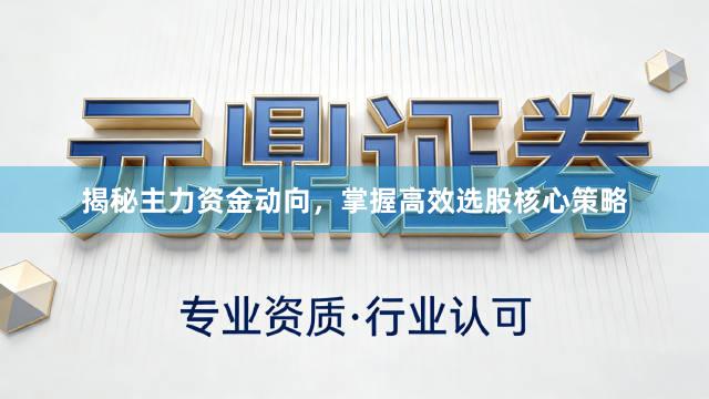 揭秘主力资金动向，掌握高效选股核心策略