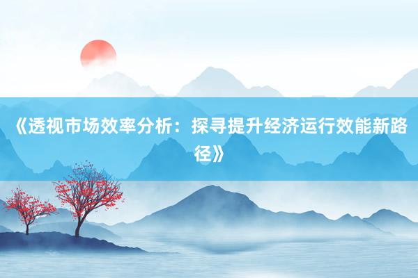 《透视市场效率分析：探寻提升经济运行效能新路径》