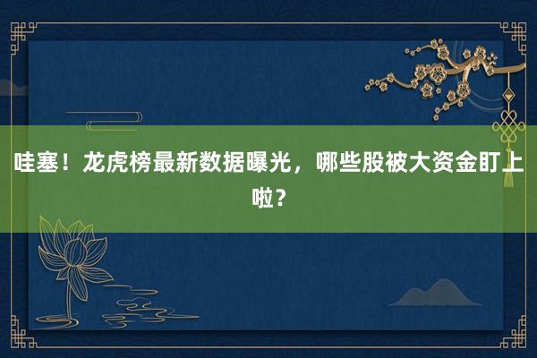 哇塞！龙虎榜最新数据曝光，哪些股被大资金盯上啦？