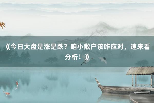 《今日大盘是涨是跌？咱小散户该咋应对，速来看分析！》